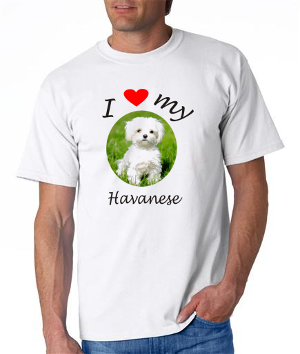 Dogs - Havanese Picture on a Mens Shirt